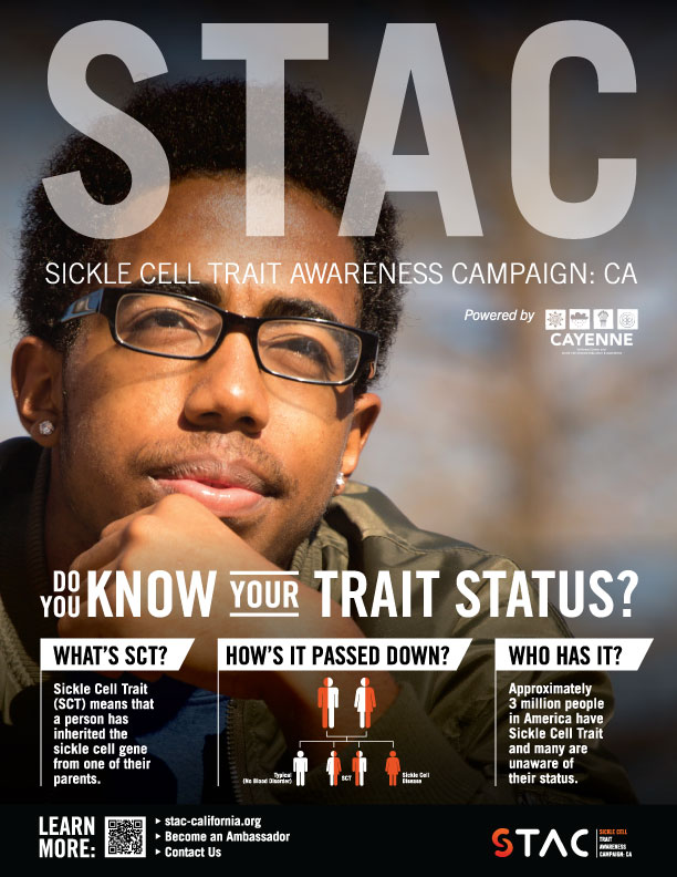 STAC Student Flyer: young man in glasses and green jacket, SCT info, inheritance info, QR code for website, and logo.